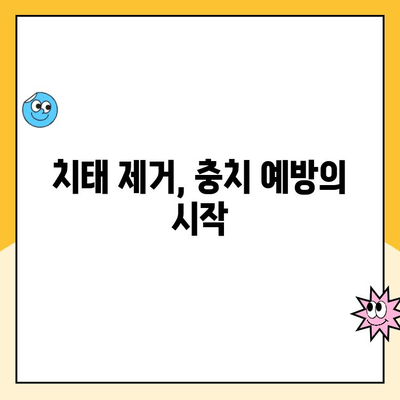 치과 충치 예방의 핵심! 전문가가 알려주는 효과적인 치태 제거법 | 충치 예방, 치태 관리, 구강 건강