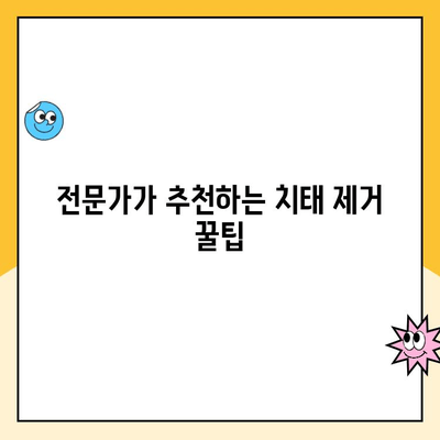 치과 충치 예방의 핵심! 전문가가 알려주는 효과적인 치태 제거법 | 충치 예방, 치태 관리, 구강 건강