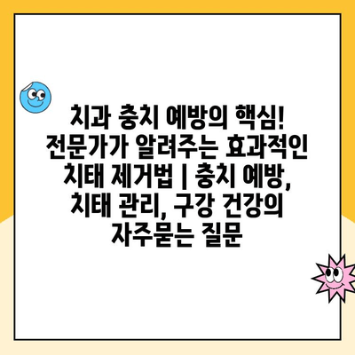 치과 충치 예방의 핵심! 전문가가 알려주는 효과적인 치태 제거법 | 충치 예방, 치태 관리, 구강 건강