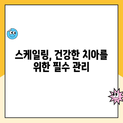 스케일링| 건강한 치아를 위한 필수 관리 | 치아 건강, 치석 제거, 잇몸 질환 예방, 치과 상담