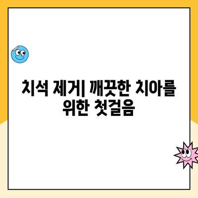 스케일링| 건강한 치아를 위한 필수 관리 | 치아 건강, 치석 제거, 잇몸 질환 예방, 치과 상담