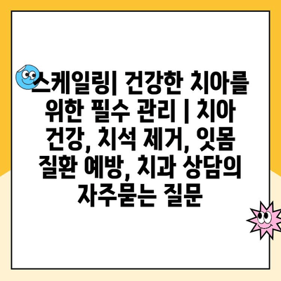 스케일링| 건강한 치아를 위한 필수 관리 | 치아 건강, 치석 제거, 잇몸 질환 예방, 치과 상담