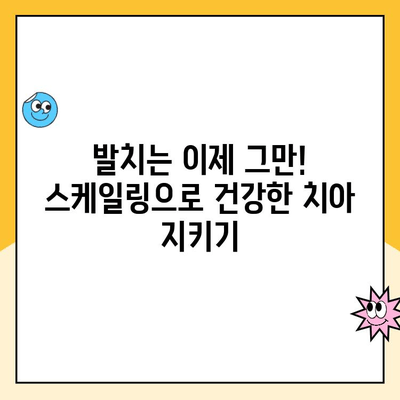 청주 치과 스케일링, 발치는 이제 그만! | 잇몸 건강 지키는 스케일링의 중요성과 효과