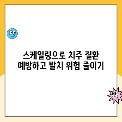 도마동 치과 스케일링으로 발치 위험 줄이는 방법 | 잇몸 건강, 치주 질환 예방, 스케일링 효과