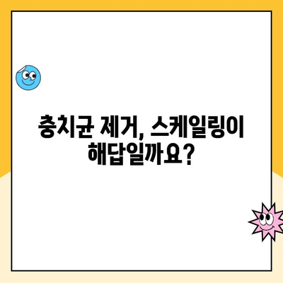 스케일링으로 치아 충치균 제거 가능할까요? | 충치 예방, 치아 건강 관리, 스케일링 효과