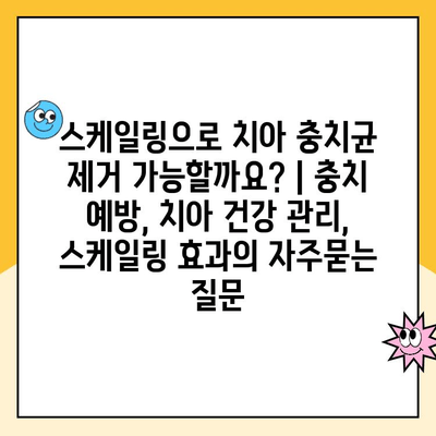 스케일링으로 치아 충치균 제거 가능할까요? | 충치 예방, 치아 건강 관리, 스케일링 효과