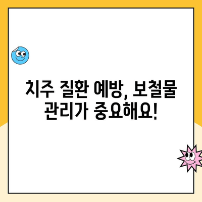 치과 보철물, 치주 질환과의 관계| 궁금증 해소 | 보철 치료, 치주 관리, 구강 건강