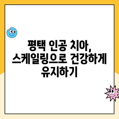 평택 인공 치아, 스케일링 꾸준히 해야 하는 이유 | 인공 치아 관리, 구강 건강, 치과 상담