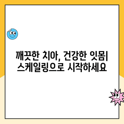 우장산역 치과| 스케일링, 왜 발치까지 이어질까요? | 치주 질환, 치아 건강, 스케일링 중요성