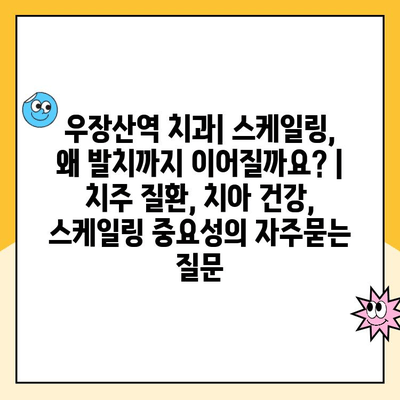 우장산역 치과| 스케일링, 왜 발치까지 이어질까요? | 치주 질환, 치아 건강, 스케일링 중요성