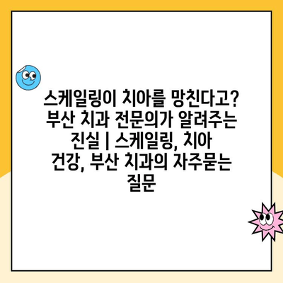 스케일링이 치아를 망친다고? 부산 치과 전문의가 알려주는 진실 | 스케일링, 치아 건강, 부산 치과