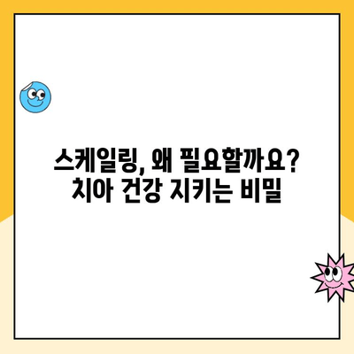 신제주 치과| 건강한 치아를 위한 정기 스케일링의 모든 것 | 스케일링 필요성, 과정, 주의사항, 비용