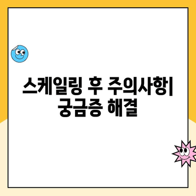 신제주 치과| 건강한 치아를 위한 정기 스케일링의 모든 것 | 스케일링 필요성, 과정, 주의사항, 비용