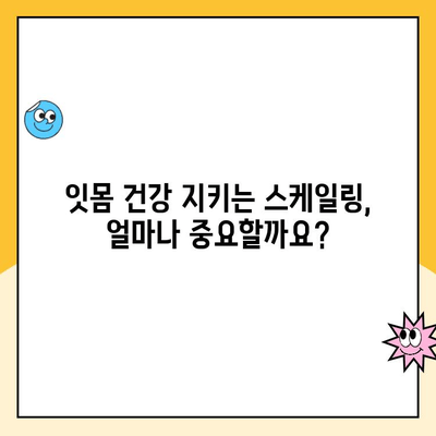 스케일링, 꼭 필요할까요? | 치아교정, 스케일링, 치주 질환, 구강 건강