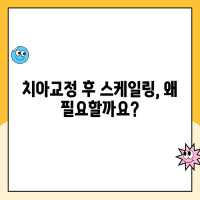 스케일링, 꼭 필요할까요? | 치아교정, 스케일링, 치주 질환, 구강 건강