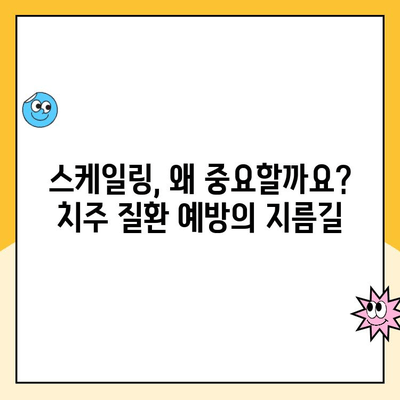 의정부 치과 전문가가 알려주는 똑똑한 스케일링 관리법 | 치아 건강, 치주 질환 예방, 스케일링 주기