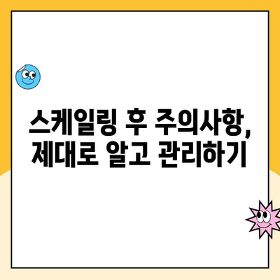 의정부 치과 전문가가 알려주는 똑똑한 스케일링 관리법 | 치아 건강, 치주 질환 예방, 스케일링 주기