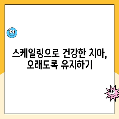 의정부 치과 전문가가 알려주는 똑똑한 스케일링 관리법 | 치아 건강, 치주 질환 예방, 스케일링 주기