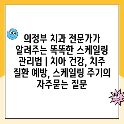 의정부 치과 전문가가 알려주는 똑똑한 스케일링 관리법 | 치아 건강, 치주 질환 예방, 스케일링 주기