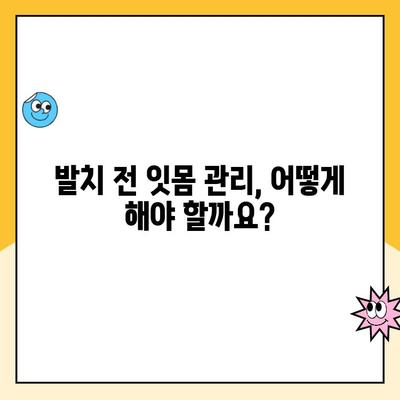 발치 전 스케일링 관리| 잇몸 건강 지키는 필수 단계 | 발치, 스케일링, 잇몸 관리, 치주 질환 예방