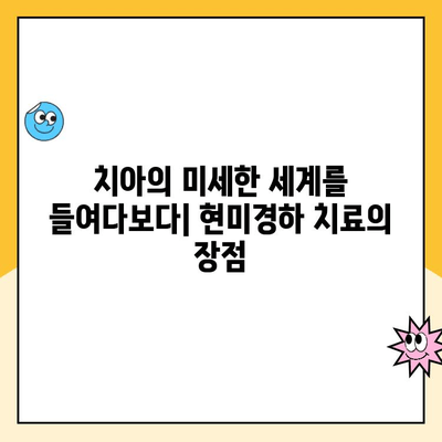 현미경하 치과 치료| 임상적 의사 결정을 위한 가이드 | 현미경, 치과, 치료, 임상, 의사 결정