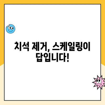 칫솔질만으론 부족해! ✨ 간단한 스케일링으로 건강한 치아 유지하기 | 구강 관리, 치석 제거, 스케일링 방법