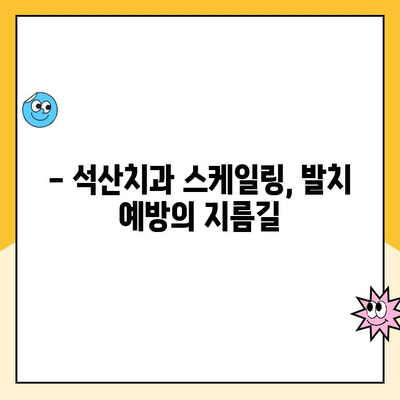 석산치과 스케일링 주기 & 보험 비용 완벽 정리 | 발치 예방 위한 필수 정보