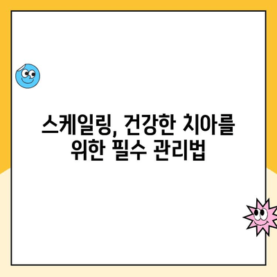 건강한 치아를 위한 필수 관리| 주기적 스케일링의 중요성 | 치아 건강, 스케일링, 치주 질환 예방, 구강 관리 팁