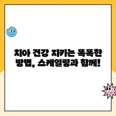 건강한 치아를 위한 필수 관리| 주기적 스케일링의 중요성 | 치아 건강, 스케일링, 치주 질환 예방, 구강 관리 팁