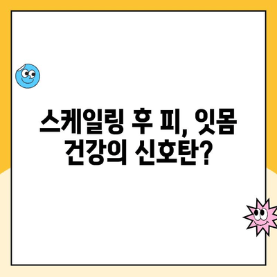 청주 치과 스케일링 후 피가 나는 이유| 원인과 해결책 | 치주 질환, 잇몸 관리, 스케일링 부작용