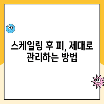 청주 치과 스케일링 후 피가 나는 이유| 원인과 해결책 | 치주 질환, 잇몸 관리, 스케일링 부작용