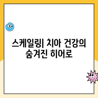 건강한 치아를 위한 필수 관리법| 주기적인 스케일링의 중요성 | 치아 건강, 스케일링, 치주 질환 예방