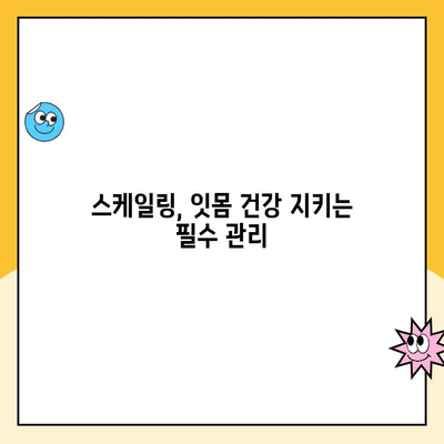 건강한 치아를 위한 필수 관리법| 주기적인 스케일링의 중요성 | 치아 건강, 스케일링, 치주 질환 예방