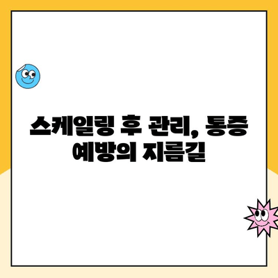 스케일링 통증, 왜 생길까요? | 원인 분석 및 해결 방안
