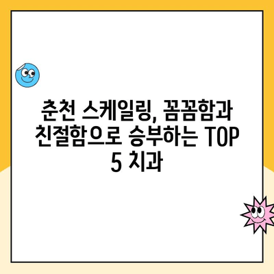 춘천 스케일링 잘하는 치과 추천| 꼼꼼하고 친절한 곳 TOP 5 | 춘천 치과, 스케일링, 추천, 치과 선택