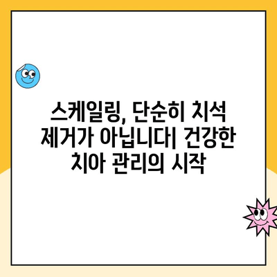 강남 치과 추천| 스케일링부터 시작하는 꼼꼼한 구강 관리 | 강남 치과, 스케일링, 구강 관리, 치아 건강, 추천