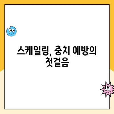 스케일링으로 충치 예방하는 5가지 실천법 | 치아 건강, 구강 관리, 치과 상담