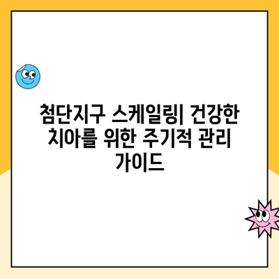 첨단지구 스케일링| 건강한 치아를 위한 주기적 관리 가이드 | 치아 건강, 구강 관리, 잇몸 질환 예방