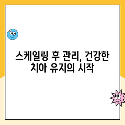 첨단지구 스케일링| 건강한 치아를 위한 주기적 관리 가이드 | 치아 건강, 구강 관리, 잇몸 질환 예방