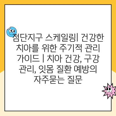 첨단지구 스케일링| 건강한 치아를 위한 주기적 관리 가이드 | 치아 건강, 구강 관리, 잇몸 질환 예방