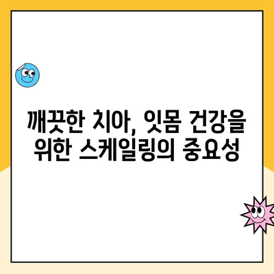 포항시 북구 치과 스케일링 관리| 발치를 예방하는 건강한 치아 관리법 | 스케일링, 치아 건강, 구강 관리 팁