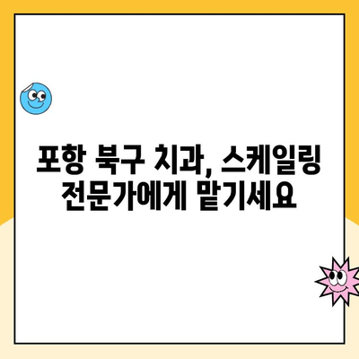포항시 북구 치과 스케일링 관리| 발치를 예방하는 건강한 치아 관리법 | 스케일링, 치아 건강, 구강 관리 팁