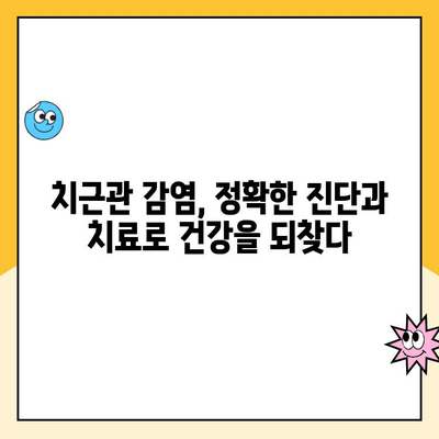 현미경하 치 raíz 채널 치료| 감염 근원을 찾는 최신 기술 | 치근단 감염, 치과 미세수술, 현미경 치료, 감염 원인 규명