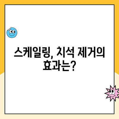 스케일링, 지속적인 구강 건강의 비밀| 효과와 주기 | 치아 건강, 치석 제거, 구강 관리