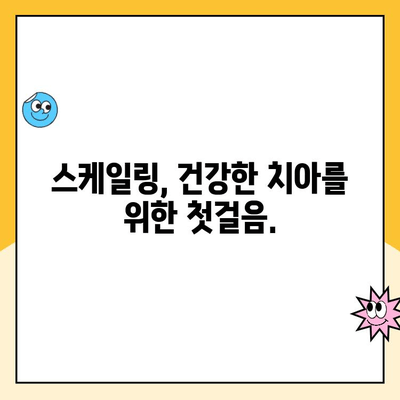 스케일링, 지속적인 구강 건강의 비밀| 효과와 주기 | 치아 건강, 치석 제거, 구강 관리