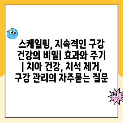 스케일링, 지속적인 구강 건강의 비밀| 효과와 주기 | 치아 건강, 치석 제거, 구강 관리