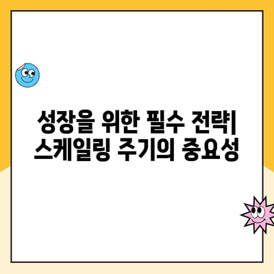 스케일링 주기| 언제, 왜 필요할까요? | 성장 전략, 효율성, 비용 절감, 성공 사례