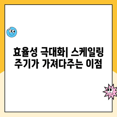 스케일링 주기| 언제, 왜 필요할까요? | 성장 전략, 효율성, 비용 절감, 성공 사례