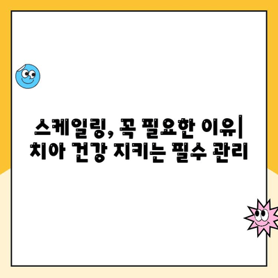 스케일링, 언제 받아야 할까요? | 치아 건강, 교정, 효과 검토