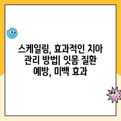 스케일링, 언제 받아야 할까요? | 치아 건강, 교정, 효과 검토